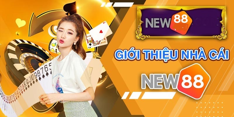 Giới thiệu cơ bản về nhà cái New88 Giới thiệu cơ bản về nhà cái New88