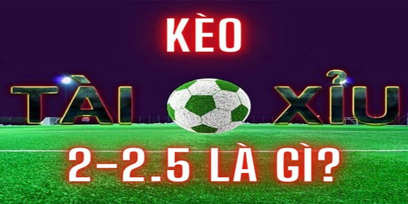 Kèo tài xỉu 2/2.5 đang được đông đảo bet thủ bóng đá lựa chọn Kèo tài xỉu 2/2.5 đang được đông đảo bet thủ bóng đá lựa chọn