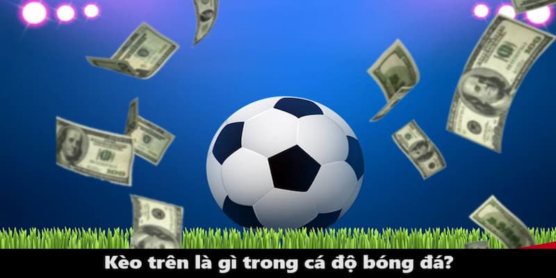 Đặt cược vào cửa trên chỉ việc tin đội chấp bóng sẽ thắng kèo Đặt cược vào cửa trên chỉ việc tin đội chấp bóng sẽ thắng kèo